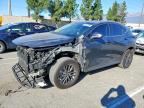 2024 LEXUS NX