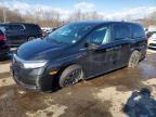 2023 HONDA ODYSSEY