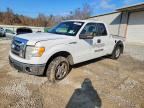 2009 FORD F150