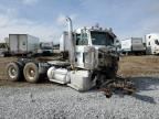 2017 PETERBILT 389