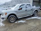 2013 FORD F150