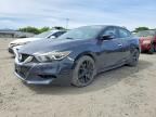 2017 NISSAN MAXIMA