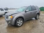 2010 FORD ESCAPE