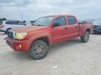 2005 TOYOTA TACOMA