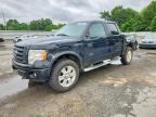 2010 FORD F150
