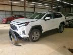 2025 TOYOTA RAV4 HYBRID
