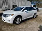 2009 TOYOTA VENZA