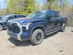 2022 TOYOTA TUNDRA