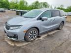 2025 HONDA ODYSSEY
