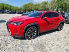 2019 LEXUS UX