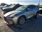 2025 LEXUS NX