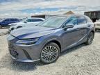 2024 LEXUS RX