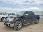2013 FORD F150
