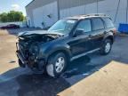 2009 FORD ESCAPE