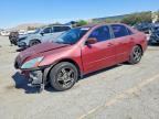 2004 HONDA ACCORD