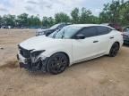 2017 NISSAN MAXIMA