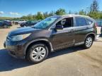 2013 HONDA CRV