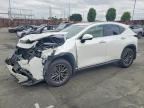 2025 LEXUS NX