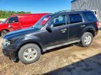 2011 FORD ESCAPE