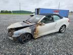 2005 MERCEDES-BENZ CLK