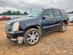 2009 CADILLAC ESCALADE