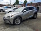 2021 LEXUS NX 300