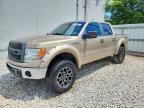 2013 FORD F150