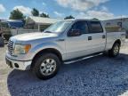 2010 FORD F150