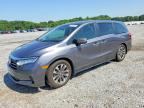2024 HONDA ODYSSEY