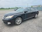 2010 LEXUS ES