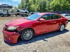 2013 LEXUS ES