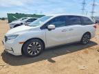 2023 HONDA ODYSSEY