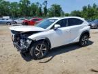2021 LEXUS NX 300