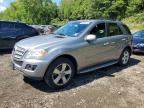 2010 MERCEDES-BENZ ML
