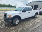 2014 FORD F150