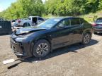 2025 LEXUS RZ