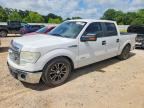 2014 FORD F150
