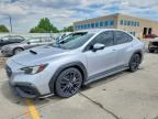 2024 SUBARU WRX
