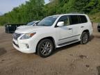 2013 LEXUS LX