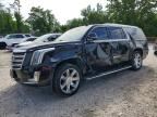 2019 CADILLAC ESCALADE