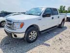 2013 FORD F150