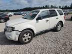 2010 FORD ESCAPE