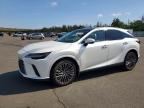 2024 LEXUS RX