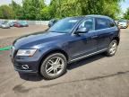 2017 AUDI Q5