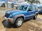 2004 JEEP LIBERTY