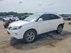 2013 LEXUS RX