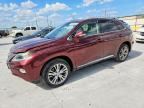 2013 LEXUS RX
