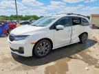 2026 HONDA ODYSSEY