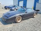 1988 PONTIAC FIREBIRD