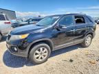 2011 KIA SORENTO